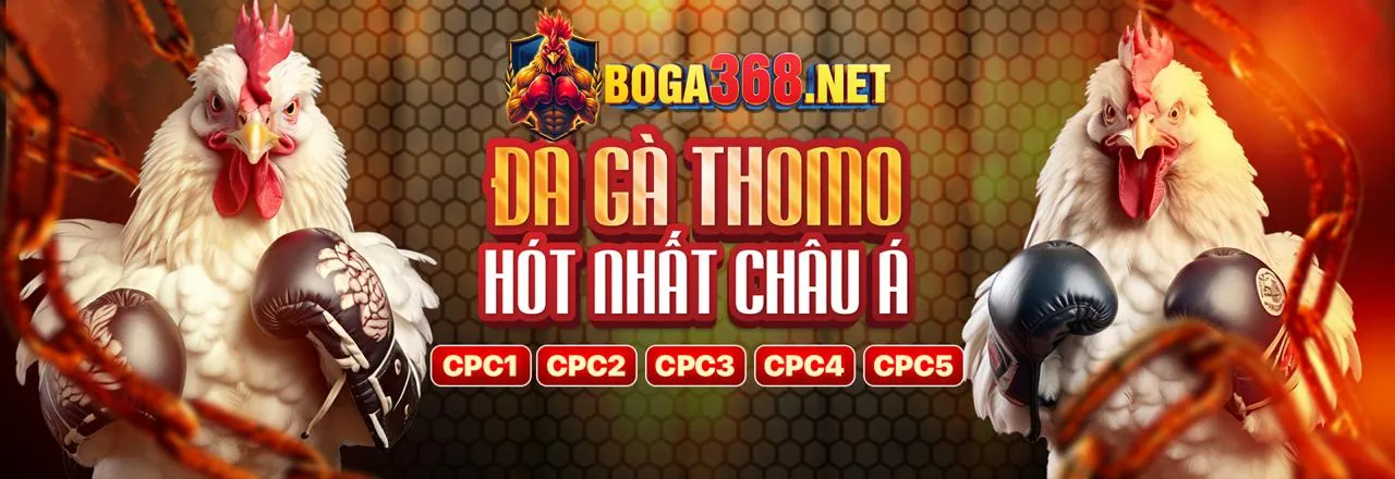 Bộ sưu tập trò chơi sòng bạc rs99